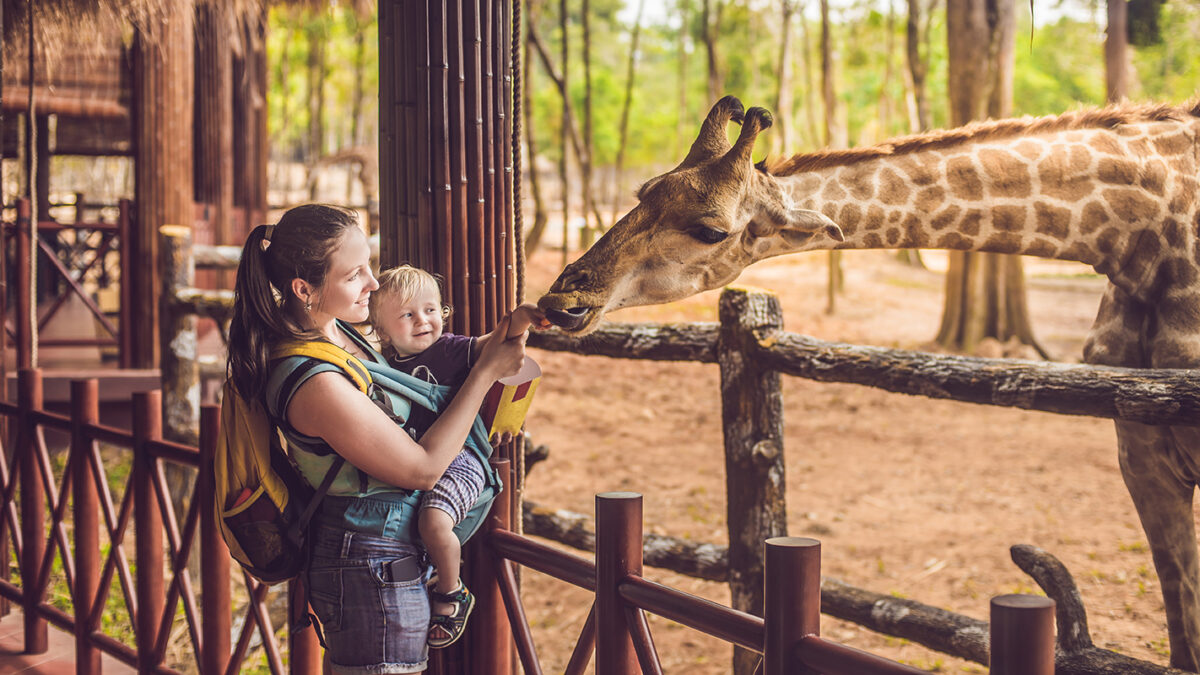 Mom and baby feeding a giraffe at a zoo can be fun places for children